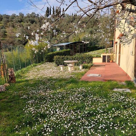 Dependance Nel Chianti A Pochi Minuti Da Firenze Leilighet Impruneta Eksteriør bilde