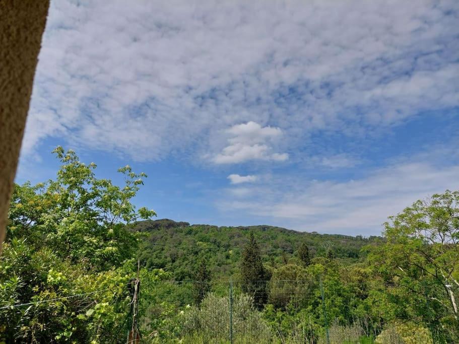 Dependance Nel Chianti A Pochi Minuti Da Firenze Leilighet Impruneta Eksteriør bilde
