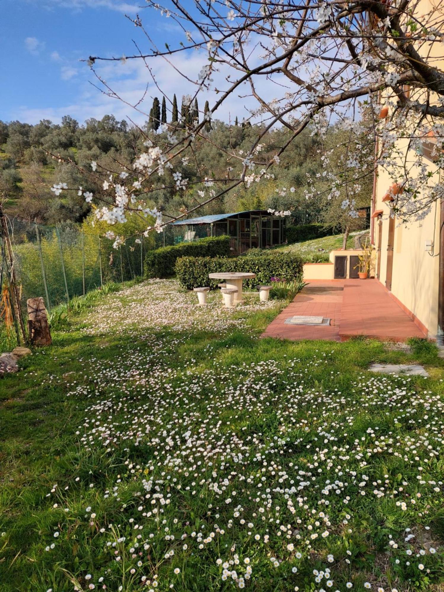 Dependance Nel Chianti A Pochi Minuti Da Firenze Leilighet Impruneta Eksteriør bilde